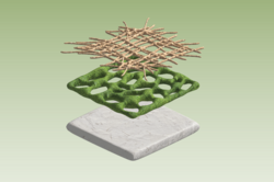 Layers of a material