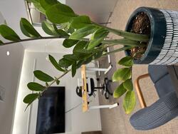 View of the offices at the Teaching and Learning, 301 Providence Washington Building