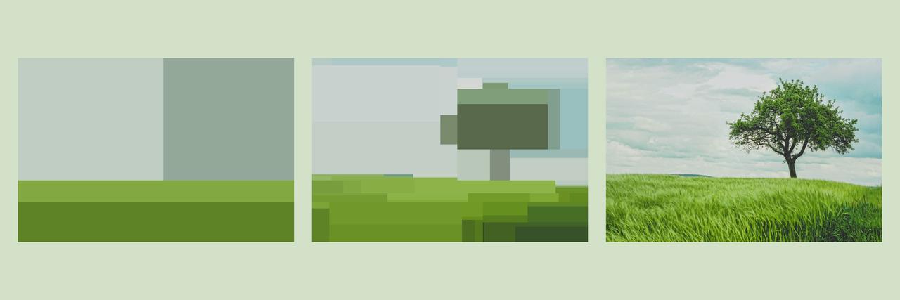 A window of three images. On the right is a photo of a big tree in a green field in a field of grass and a bright blue sky. The two on the left are simplifications created based on a decision tree algorithm. The work illustrates a popular type of machine learning model: the decision tree. Decision trees work by splitting the population into ever smaller segments. I try to give people an intuitive understanding of the algorithm. I also want to show that models are simplifications of reality, but can still be useful, or in this case visually pleasing. To create this I trained a model to predict pixel colour values, based on an original photograph of a tree.